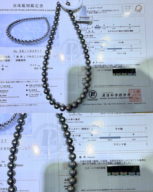 5A Tahitian Peacock Round Strand - With PSL Certificate - Peacock (8.2-10.8mm)