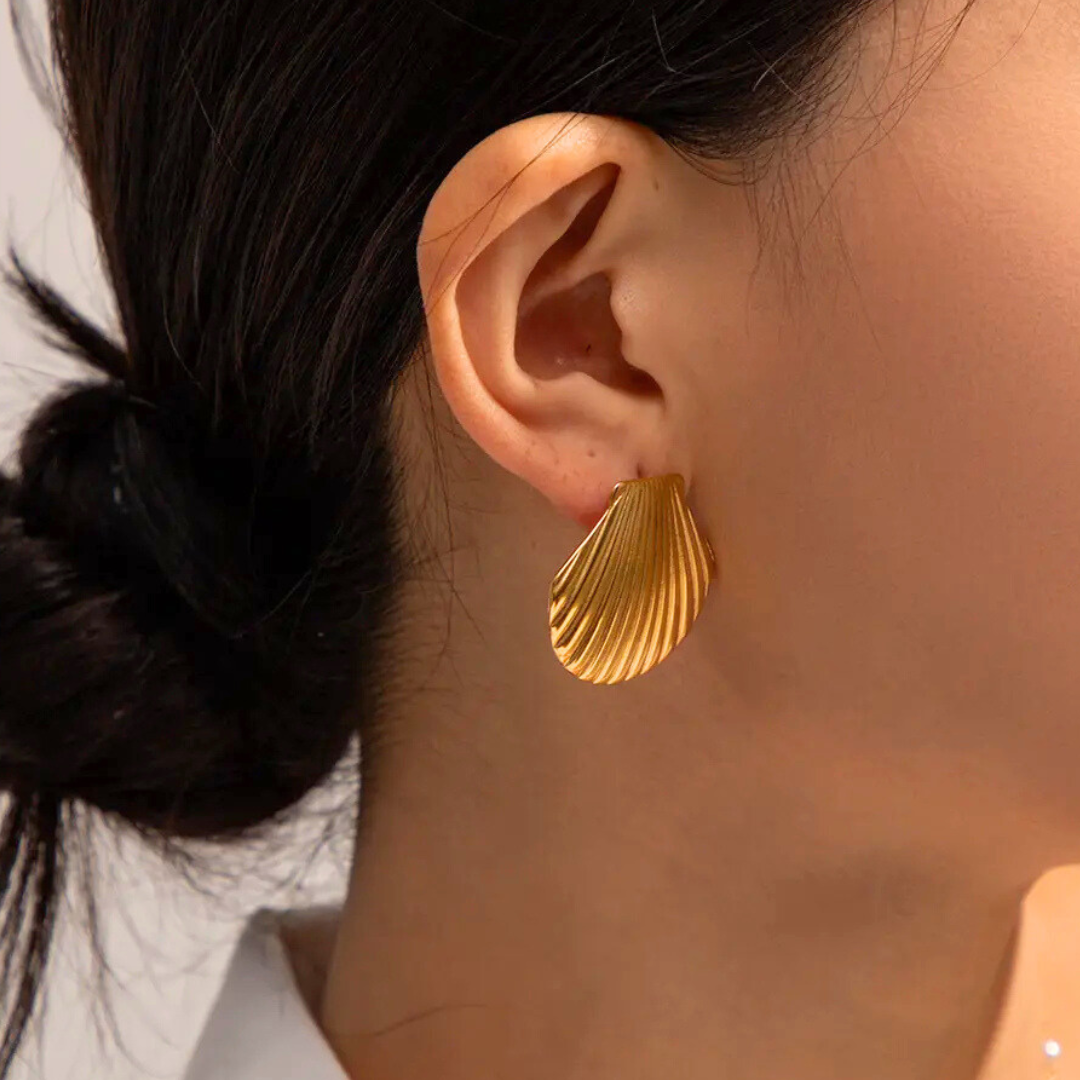 Seashell Stud Earrings
