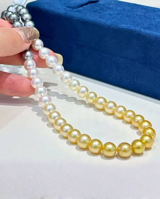 5A South Sea Golden Philippines, Akoya & Tahitian Round Loose Strand - Shikizai Three-Origin - Mixed (8-9mm)