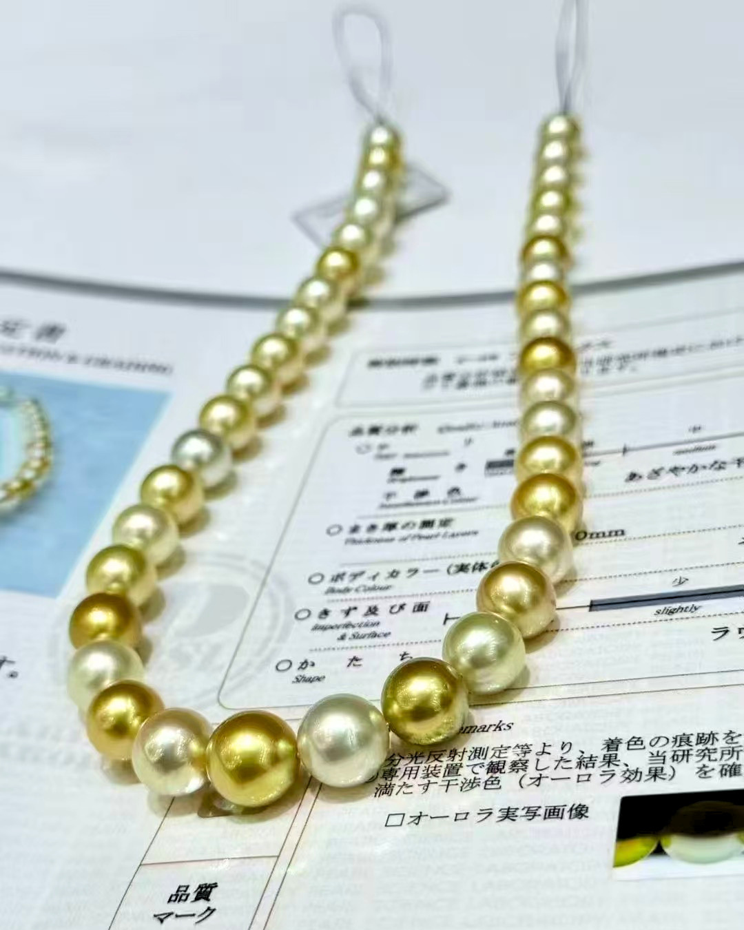 5A South Sea Golden Philippines Round Loose Strand with PSL Certificate - Gold (10.1-12.1mm)