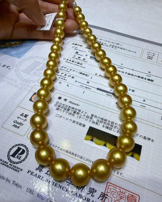 5A South Sea Golden Philippines Round Loose Strand with PSL Certificate - Gold (10-12.9mm)