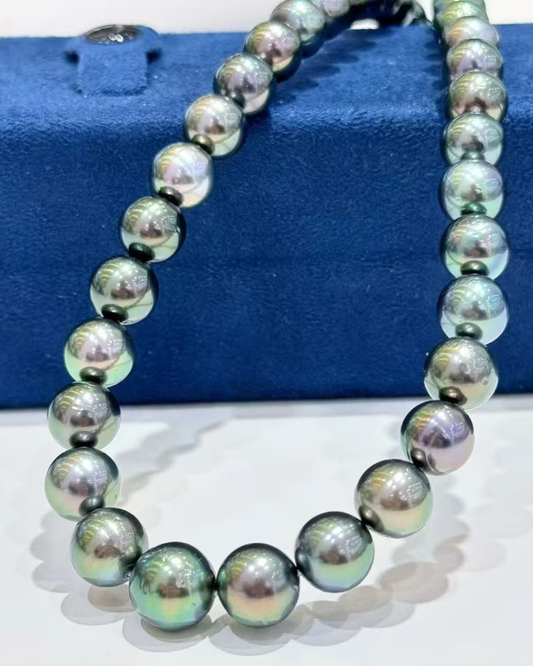 4A Tahitian Round Loose Strand - Peacock (8-10.8mm)