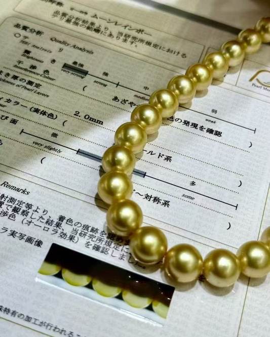 5A South Sea Golden Philippines Round Loose Strand with PSL Certificate - Gold (10-11.9mm)
