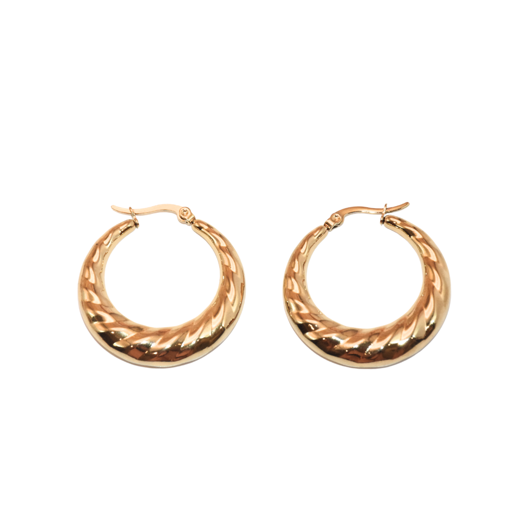 Golden Crescent Moon Hoop Earrings