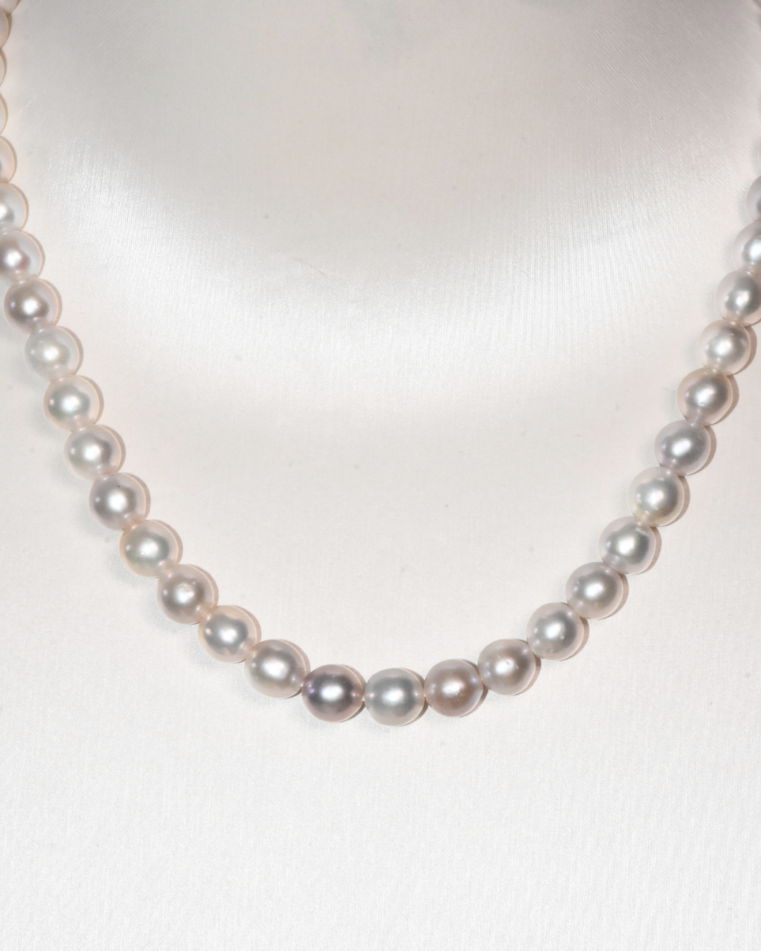 4A Freshwater Near Round Necklace in Silver 925 WG Plated - Crown Clasp - Silver/Grey (7 -8mm)