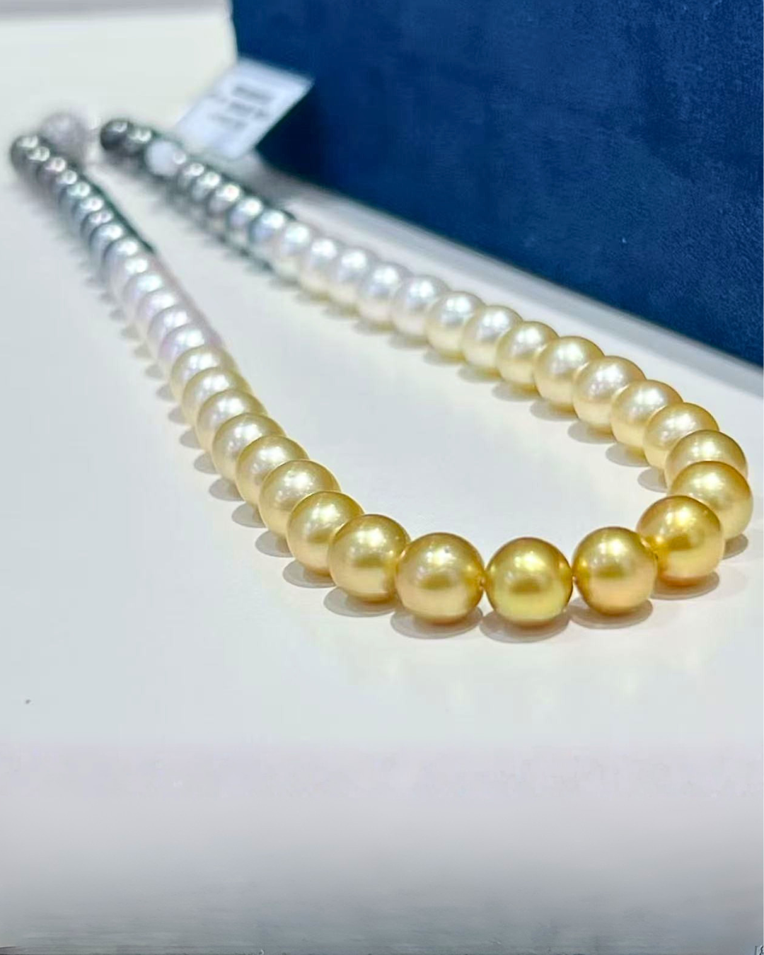 5A South Sea Golden Philippines, Akoya & Tahitian Round Loose Strand - Shikizai Three-Origin - Mixed (8-9mm)