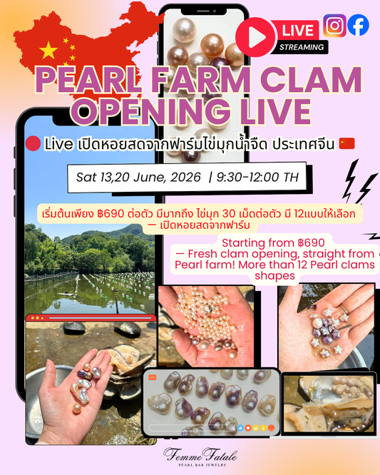 (Only in LIVE) - Pearl Farm Clam Opening LIVE FROM CHINA