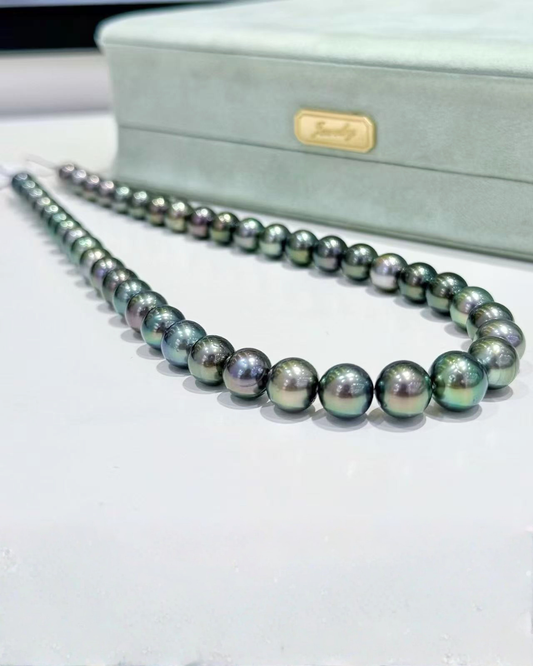 4A Tahitian Round Loose Strand - Peacock (8-10.8mm)