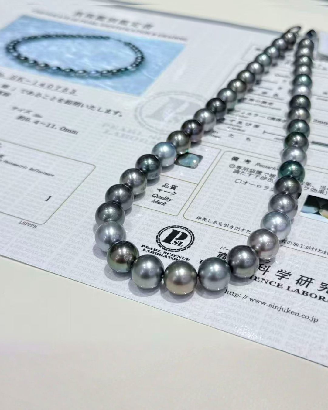 5A Tahitian Round Loose Strand with PSL Certificate - Mixed Colours (9.4-11mm)