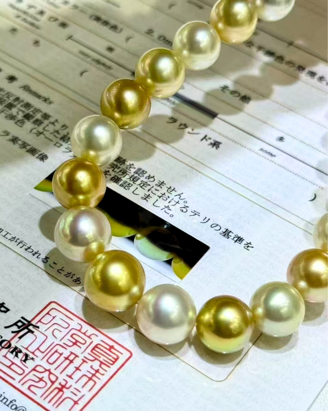 5A South Sea Golden Philippines Round Loose Strand with PSL Certificate - Gold (10.1-12.1mm)