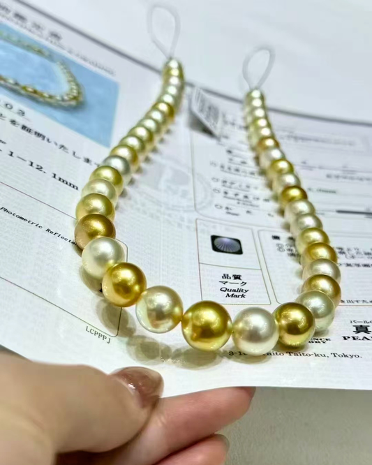 5A South Sea Golden Philippines Round Loose Strand with PSL Certificate - Gold (10.1-12.1mm)