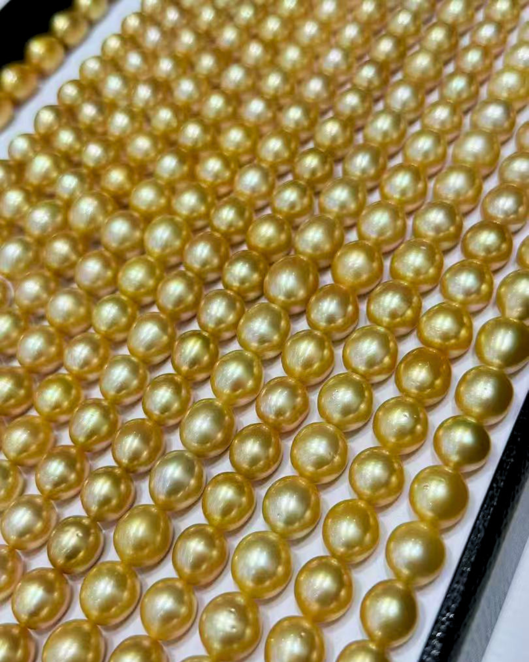 4A South Sea Golden Philippines Oval Loose Strand - Gold (10-13mm)