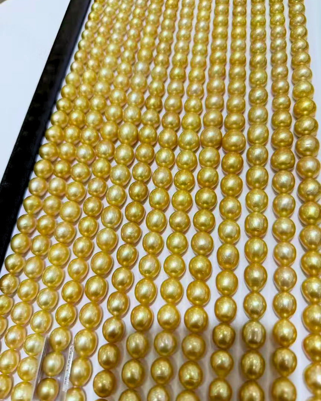 4A South Sea Golden Philippines Oval Loose Strand - Gold (10-13mm)