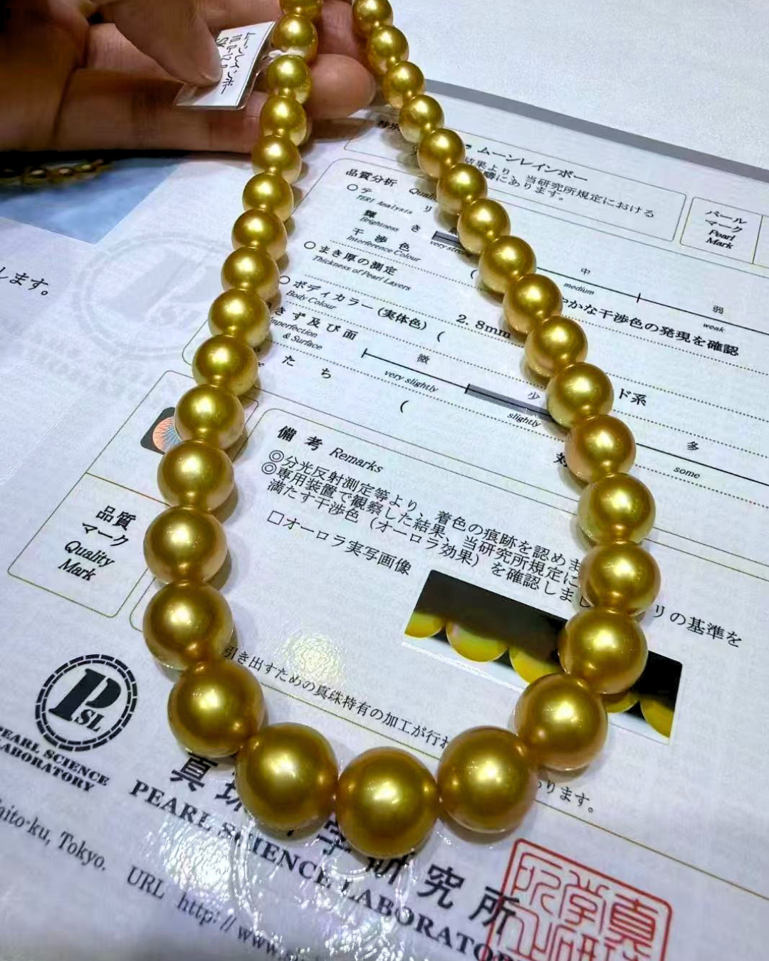 5A South Sea Golden Philippines Round Loose Strand with PSL Certificate - Gold (10-12.9mm)