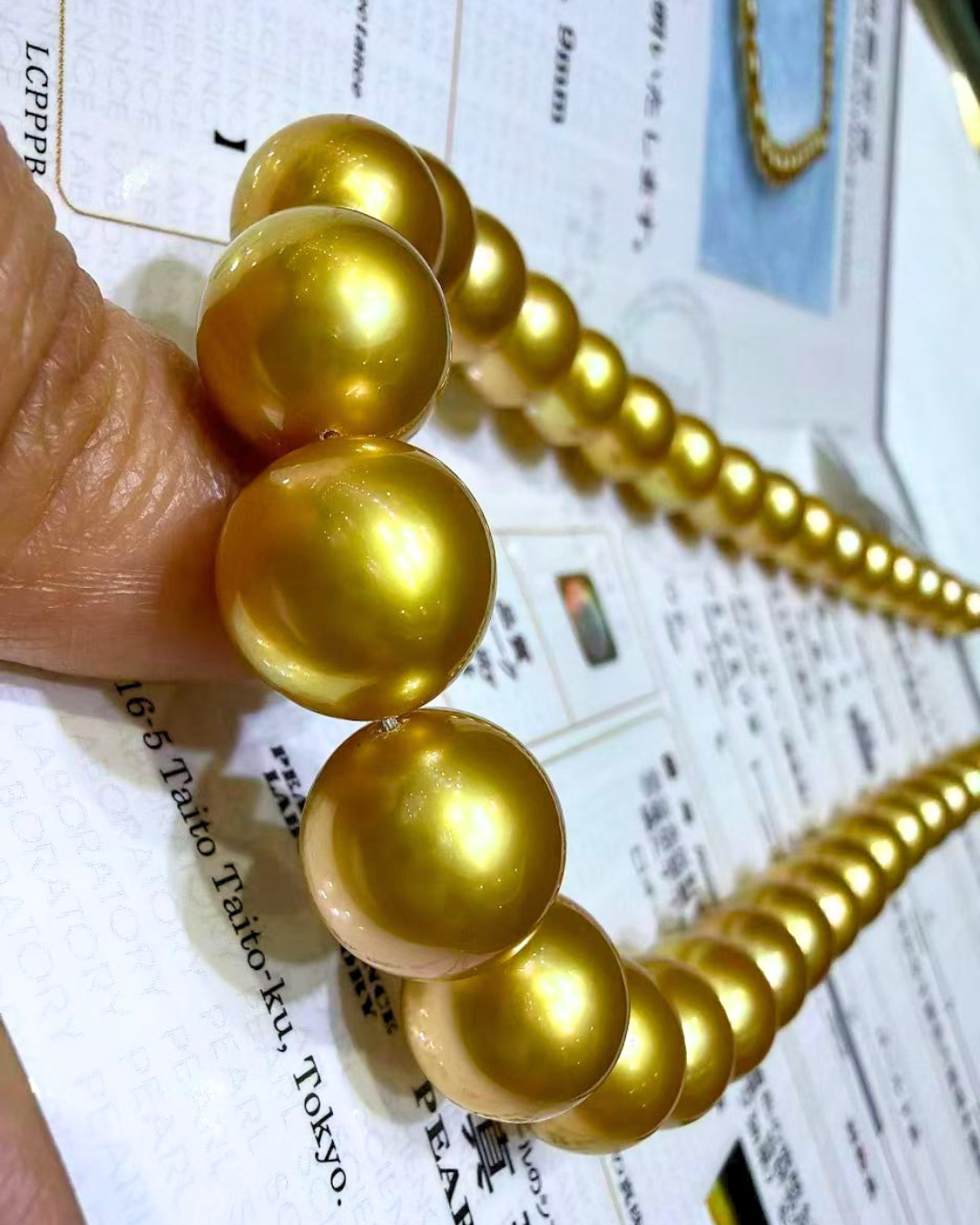 5A South Sea Golden Philippines Round Loose Strand with PSL Certificate - Gold (10-12.9mm)
