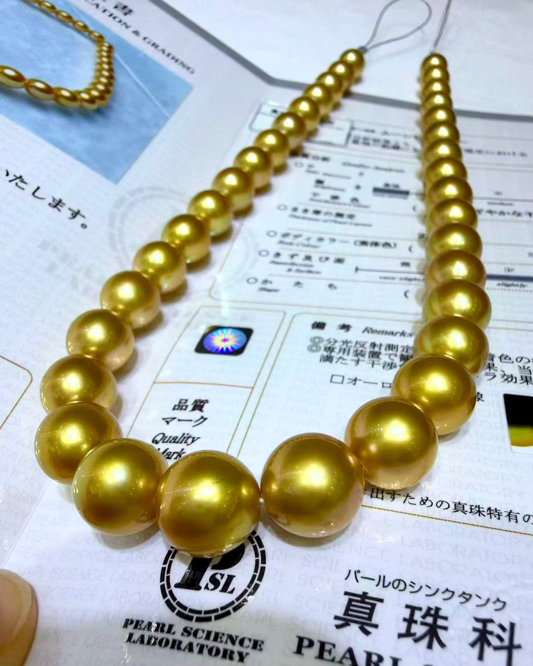 5A South Sea Golden Philippines Round Loose Strand with PSL Certificate - Gold (10-12.9mm)