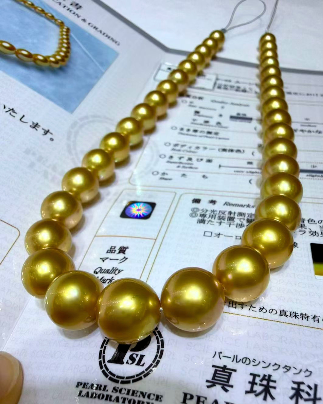 5A South Sea Golden Philippines Round Loose Strand with PSL Certificate - Gold (10-12.9mm)