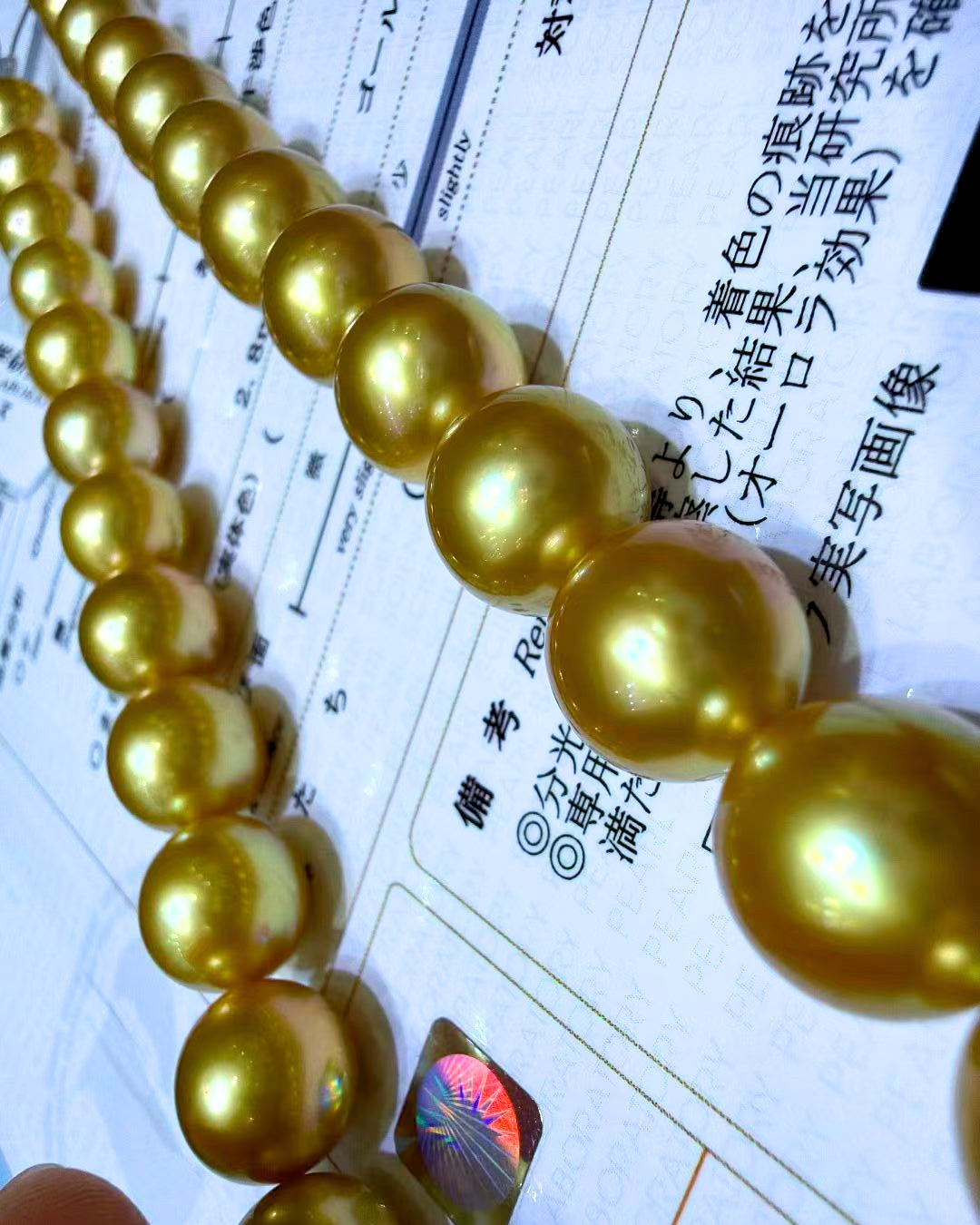 5A South Sea Golden Philippines Round Loose Strand with PSL Certificate - Gold (10-12.9mm)