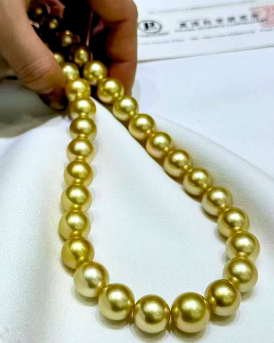 5A South Sea Golden Philippines Round Loose Strand with PSL Certificate - Gold (10-12.9mm)