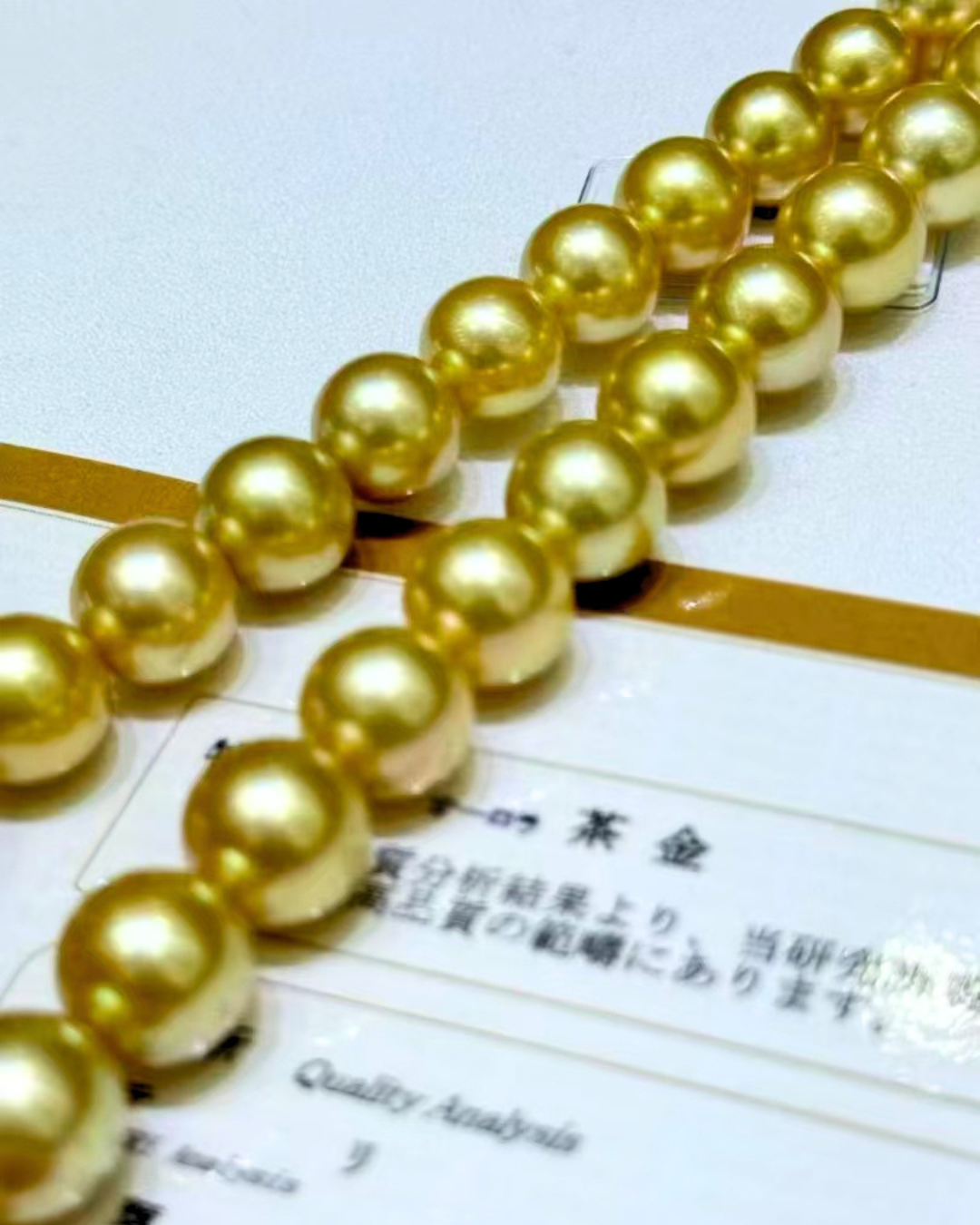5A South Sea Golden Philippines Round Loose Strand with PSL Certificate - Gold (10-12.9mm)