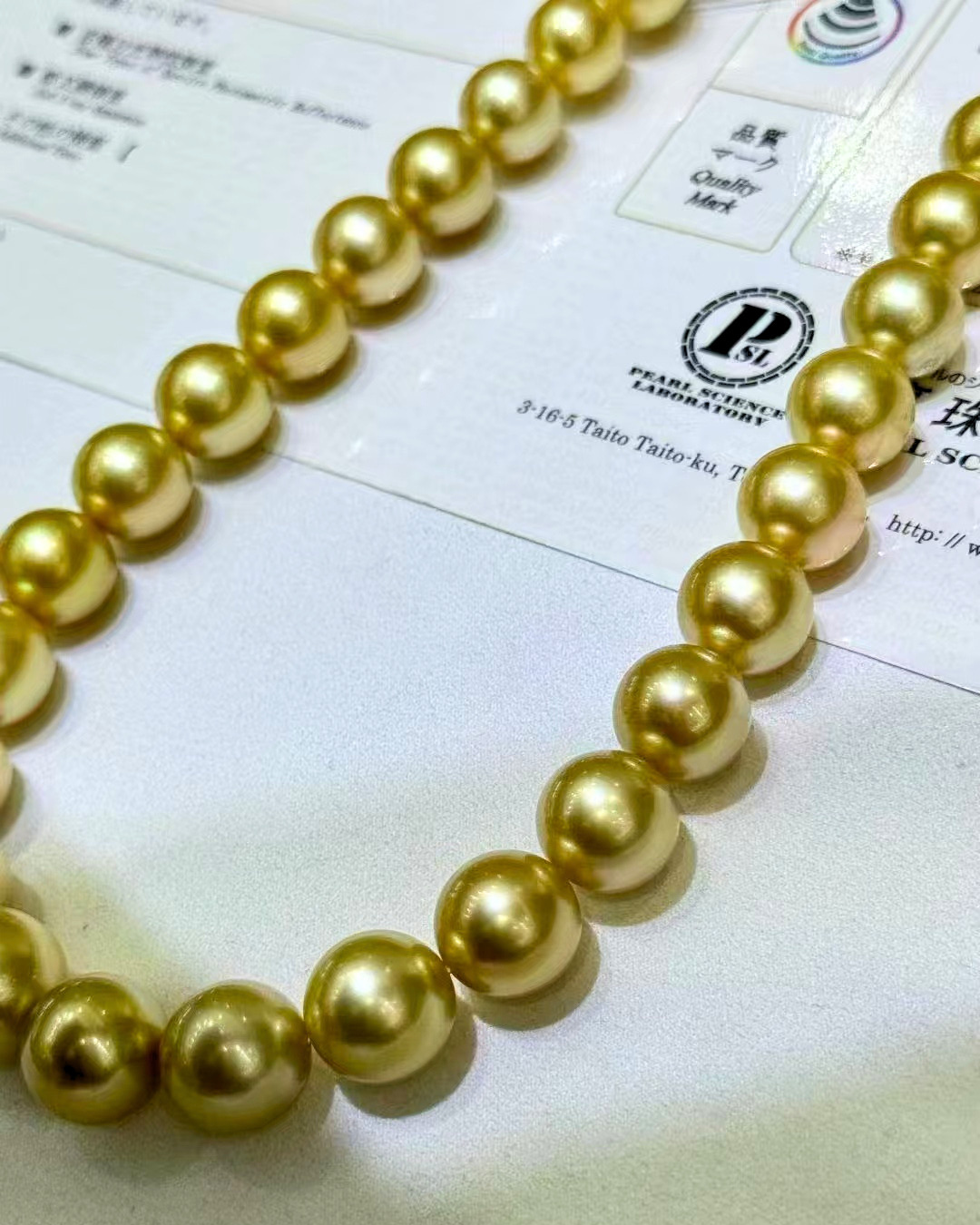 5A South Sea Golden Philippines Round Loose Strand with PSL Certificate - Gold (10-12.9mm)