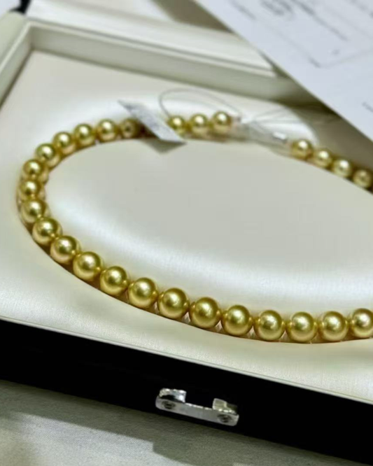 5A South Sea Golden Philippines Round Loose Strand with PSL Certificate - Gold (10-11.9mm)