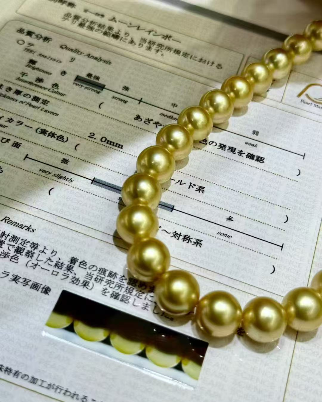 5A South Sea Golden Philippines Round Loose Strand with PSL Certificate - Gold (10-11.9mm)