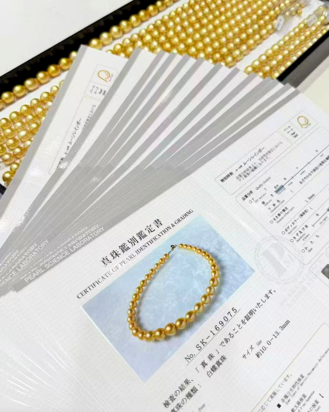 4A South Sea Golden Philippines Oval Loose Strand - Gold (10-13mm)